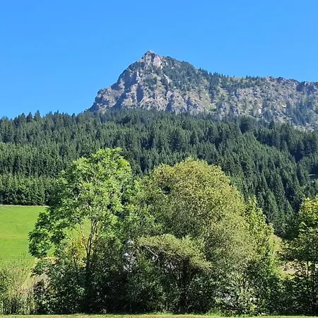 Appartement St- Leonhard *