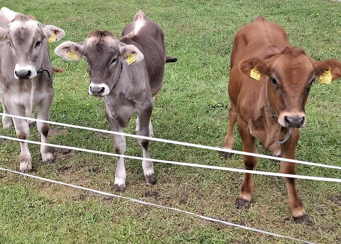 St- Leonhard Tannheim